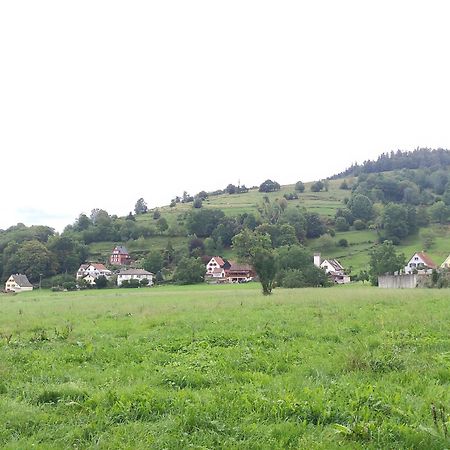 Les Studios Du Frankenthal Stosswihr Luaran gambar