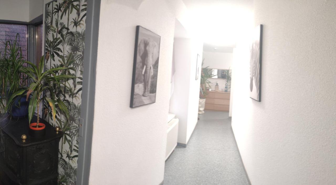 Les Studios Du Frankenthal Stosswihr Luaran gambar