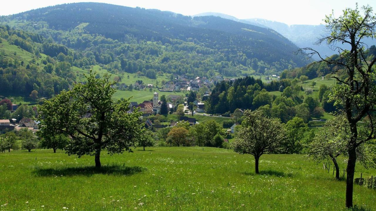 Les Studios Du Frankenthal Stosswihr Luaran gambar